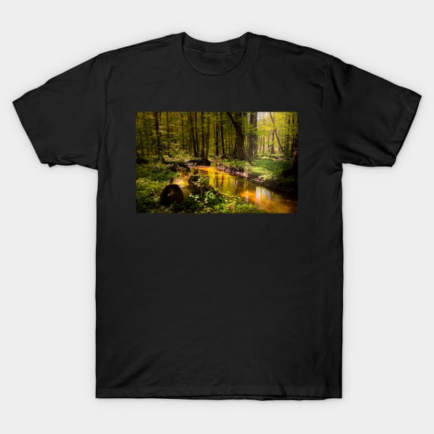 Spring mystical forest T-Shirt by CraftCloud